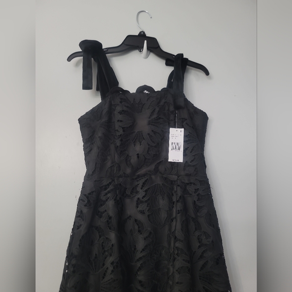 Mestiza New York Cataleya Lace Midi-Dress - Picture 7 of 11